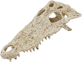 Crocodile Reptile Amphibian Skull Habitat Hide  NS-72/22x6.5cm